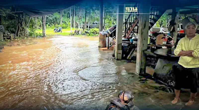 ฝนถล่มหนัก”สุราษฎร์” 4 อำเภอน้ำท่วมบ้านเรือนประชาชน ฝนถล่มหนัก”สุราษฎร์” 4 อำเภอน้ำท่วมบ้านเรือนประชาชน