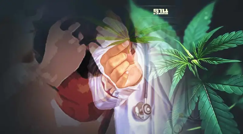 ผลวิจัยชี้"กัญชา"ทำเยาวชนไอคิวลด  ปชป.จี้ทุกพรรคการเมืองทบทวน