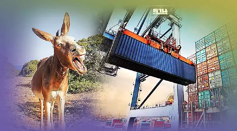 เรียกร้องรัฐบาลจีน ฮ่องกง เวียดนาม ไทย ยุติการนำเข้าหนังลา ลดเสี่ยงโรคระบาด