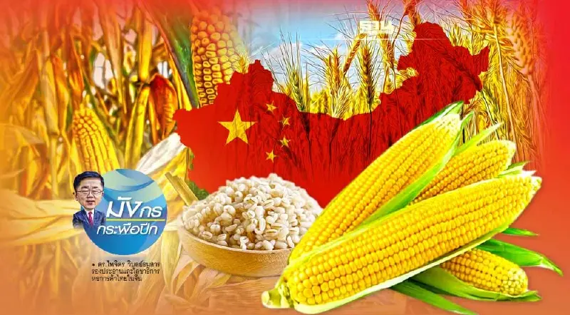 เมื่อจีนเดินหน้ายกระดับความมั่นคงด้านอาหาร (4)