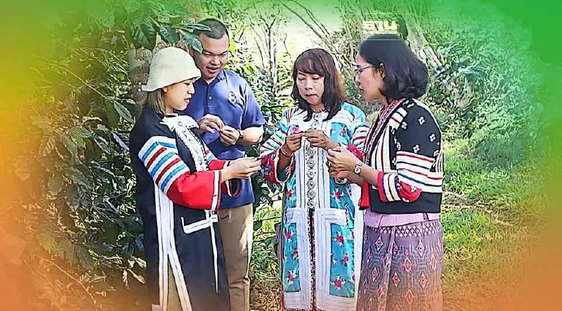 ททท.ชวนเที่ยวจิบกาแฟดอยมูเซอรื่นรมย์"ตาก" 