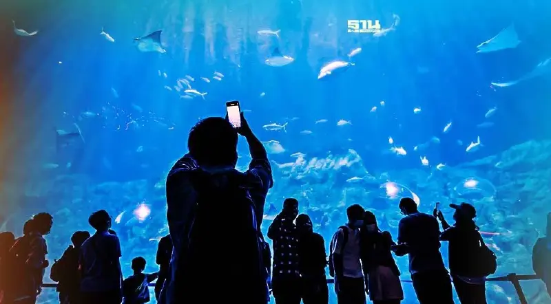 กรมประมง เปิดเข้าชมฟรีอควาเรียมสัตว์น้ำหาดูยากเป็นของขวัญปีใหม่