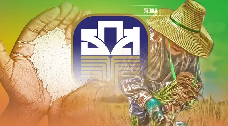 เช็คเลย ธ.ก.ส. แจ้งโอนเงิน “ประกันรายได้ข้าว” งวด 1-9 จบที่นี่