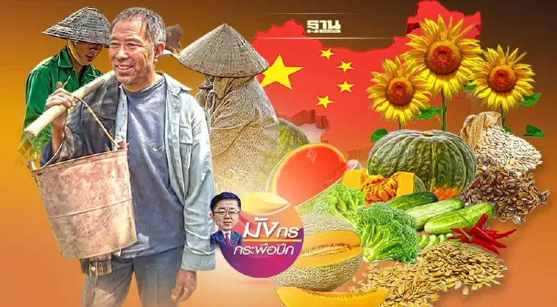 เมื่อจีนเดินหน้ายกระดับความมั่นคงด้านอาหาร (6)