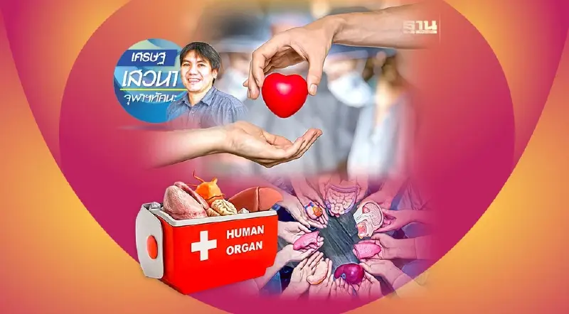 เศรษฐศาสตร์และการแลกเปลี่ยนอวัยวะ