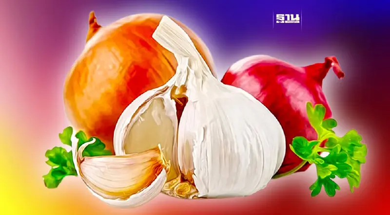 พาณิชย์หวั่นพืชตระกูลหอมล้นตลาด  เร่งรับซื้อดันราคาต้นฤดูกาล