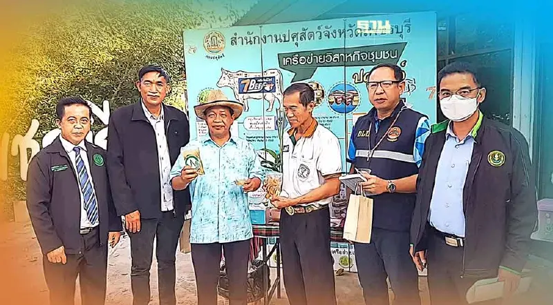 แห่งเดียวของโลก "สนามแข่งวัวลาน" ที่เพชรบุรี