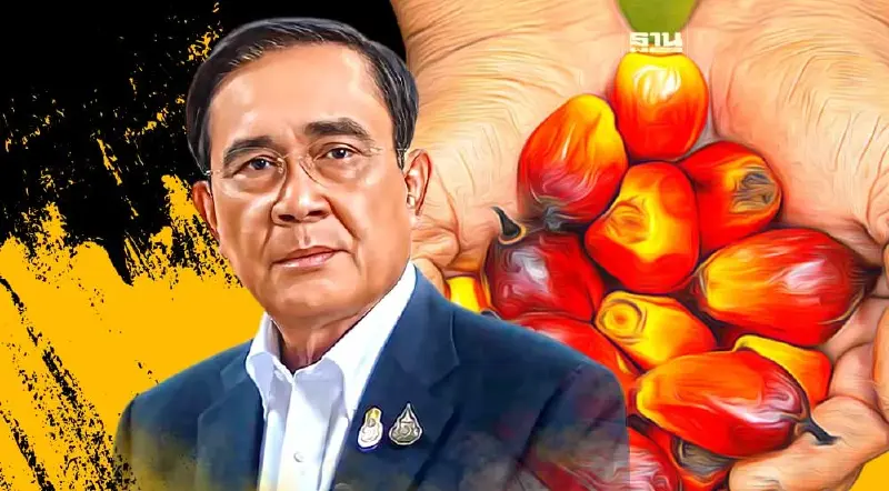 "บิ๊กตู่"สั่งแก้ปัญหาปาล์มน้ำมัน หลังราคาร่วงเหลือ 4.80 บาทต่อกิโลกรัม