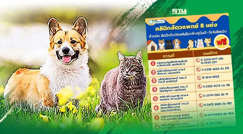 ฉีดวัคซีนป้องกันโรคพิษสุนัขบ้า-ทำหมัน-ฝังไมโครชิพฟรี วันนี้ คลิกเลย