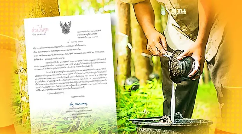 ด่วนที่สุด  แจ้งเลื่อน “ประกันรายได้ยางพารา” เฟส 4