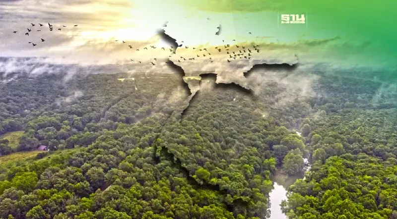 ทุกชาติให้ความสำคัญกับป่าลดโลกร้อน ไทยยังเหลือป่าไม้อยู่เท่าไหร่ ?