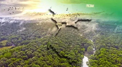 ทุกชาติให้ความสำคัญกับป่าลดโลกร้อน ไทยยังเหลือป่าไม้อยู่เท่าไหร่ ?