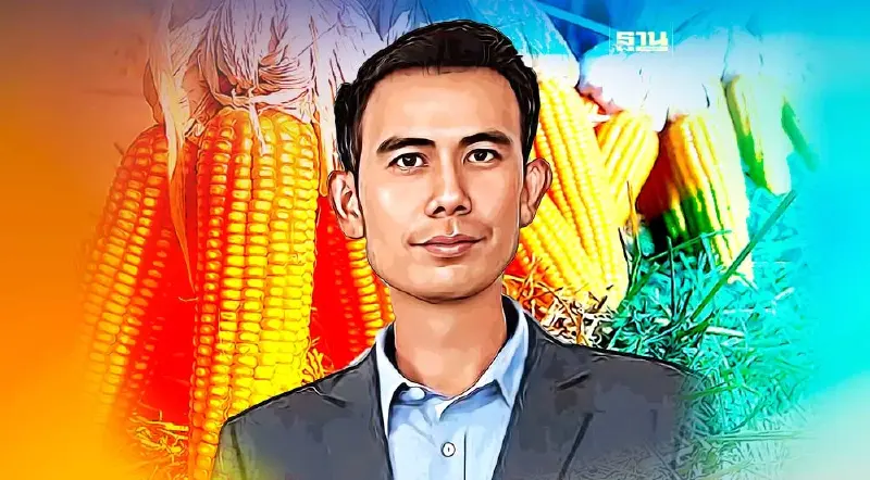 เตือน เก็บเกี่ยวข้าวโพดเลี้ยงสัตว์สดอ่อน ทุบผลผลิตลด เสียหาย 5- 6 พันล้าน