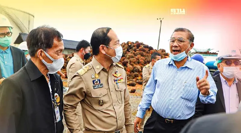 ราคาปาล์มบวกต่อ เด้งขานรับ กมธ.ปาล์มน้ำมัน ลงพื้นที่ สุราษฎร์ฯ