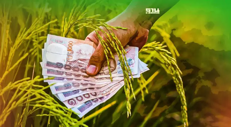 ประกันรายได้ข้าวงวด13 มาแล้ว ชาวนาเตรียมรับเงิน11ม.ค.นี้