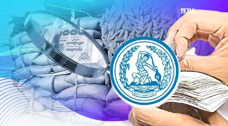 "ส่วนต่างประกันรายได้" ปชป.ปักธงปูพรมคะแนนเสียง