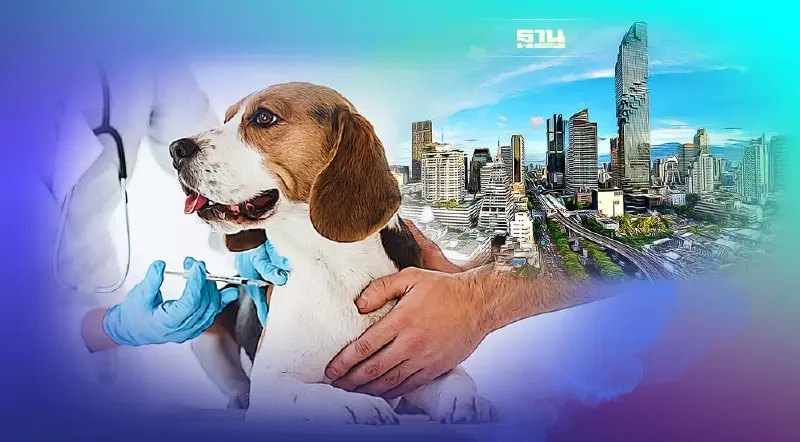 รวมจุดฉีดวัคซีน "หมา – แมว" ฟรี 2566 ใน กทม. อัพเดทได้ที่นี่