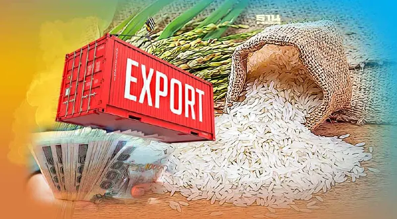 ส่งออกข้าวไทย11เดือน 6.91 ล้านตัน รั้งเบอร์2ของโลก