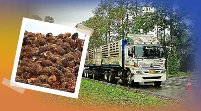 เปิด 6 ข้อ แก้ปัญหา “ลานเท –โรงสกัด” หยุดรับซื้อปาล์มน้ำมัน อัพเดท ล่าสุด เปิด 6 ข้อ แก้ปัญหา “ลานเท –โรงสกัด” หยุดรับซื้อปาล์มน้ำมัน อัพเดท ล่าสุด