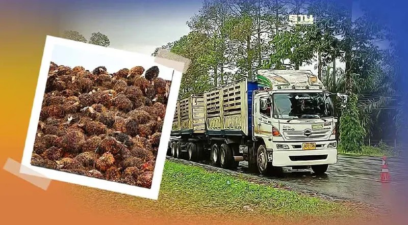 เปิด 6 ข้อ แก้ปัญหา “ลานเท –โรงสกัด” หยุดรับซื้อปาล์มน้ำมัน อัพเดท ล่าสุด