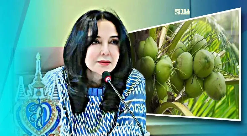 ดัดหลังโรงงานกะทิ “มนัญญา” ชงปรับโควตานำเข้าใหม่ หลังมะพร้าว เหลือ 5 บาท/ลูก