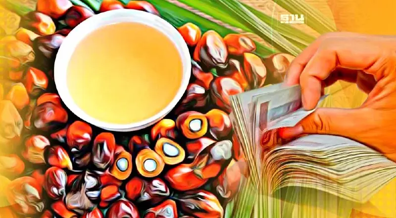 จ่อชงครม. ไฟเขียวประกันรายได้ปาล์มน้ำมัน 2565/66