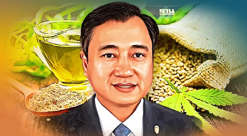 กม.กัญชาฯ ส่อแท้ง  วิปวุฒิสภา จี้สภา เร่งผ่านสัปดาห์หน้า