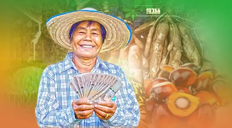 ส่องสินค้าเกษตรไทยปี 66 “ข้าว มัน ปาล์ม” สดใส