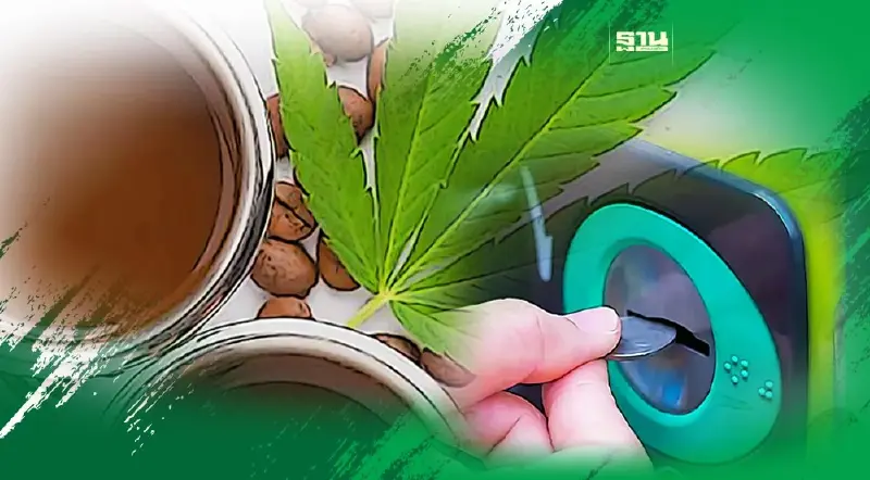 ตู้กดกาแฟกัญชา ไม่ขออนุญาต มีโทษปรับหนัก – ติดคุก