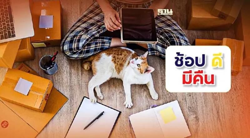 เช็กด่วน รายชื่อ ผู้ประกอบการ e-Tax ร่วม "ช้อปดีมีคืน" เช็กด่วน รายชื่อ ผู้ประกอบการ e-Tax ร่วม "ช้อปดีมีคืน"