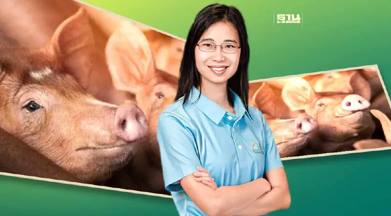 กระทุ้งรัฐเร่งแก้ 4 โจทย์ใหญ่ ก่อนทำ "คนเลี้ยงหมู" ถอดใจทิ้งอาชีพ