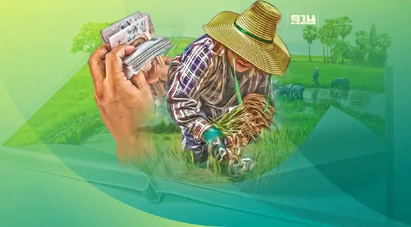 เคาะจ่ายส่วนต่าง "ประกันรายได้ข้าว"งวดที่14