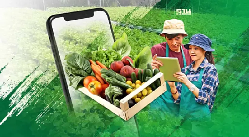 แอปพลิเคชั่น ซื้อผัก สินค้าเกษตร จากเกษตรกร สดๆจากสวน 24ชม. แอปพลิเคชั่น ซื้อผัก สินค้าเกษตร จากเกษตรกร สดๆจากสวน 24ชม.