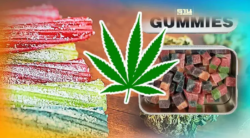 เด็กแพ้กัญชาในอาหาร ความเสี่ยงที่มากับกัญชาเสรี