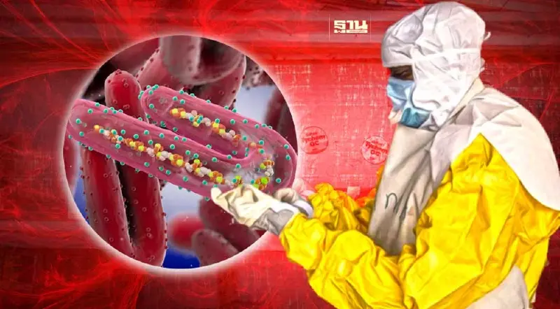 รู้จักไวรัสมฤตยู "มาร์เบิร์ก" หลัง WHO ยันการระบาด แอฟริกาดับแล้ว 9