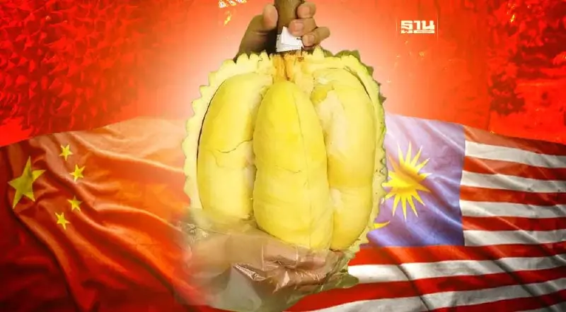 พาณิชย์ดัน ทุเรียนสะเด็ดน้ำยะลา ลุยตลาดจีน-มาเลเซีย