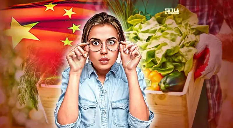 ผักจีนตีตลาดไทย พาณิชย์แจงยังไม่น่ากังวล