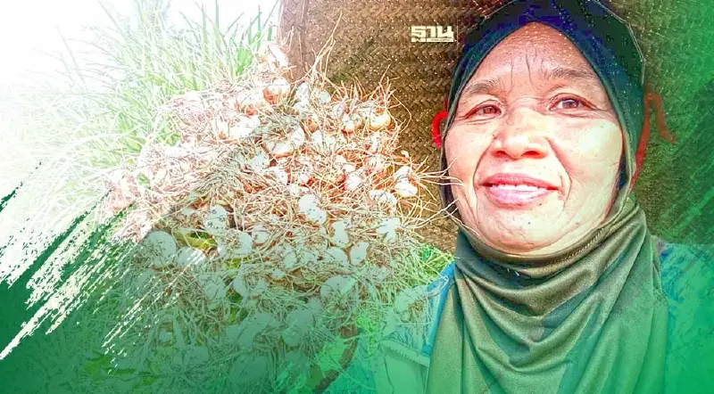 พาณิชย์ผนึก 16 ผู้ประกอบการ ลุยซื้อกระเทียมแม่ฮ่องสอน ราคานำตลาด