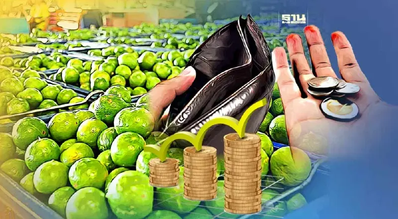 มะนาวแพง  พาณิชย์เร่งเชื่อมโยงตลาดขายส่งหวังลดค่าครองชีพ