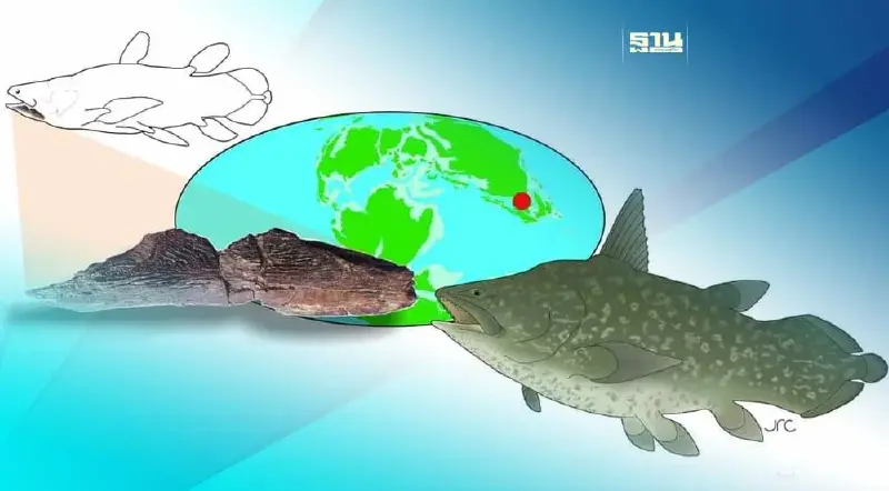 ตะลึง พบซากดึกดำบรรพ์ "ปลาซีลาแคนธ์" อายุกว่า 100 ล้านปีในไทย