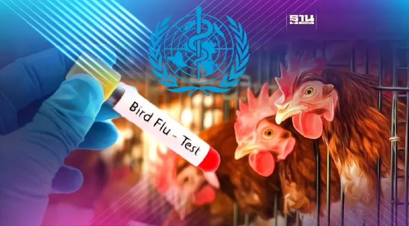 WHO ยกระดับไข้หวัดนกสู่คนจากความเสี่ยงต่ำเป็น “น่ากังวล”