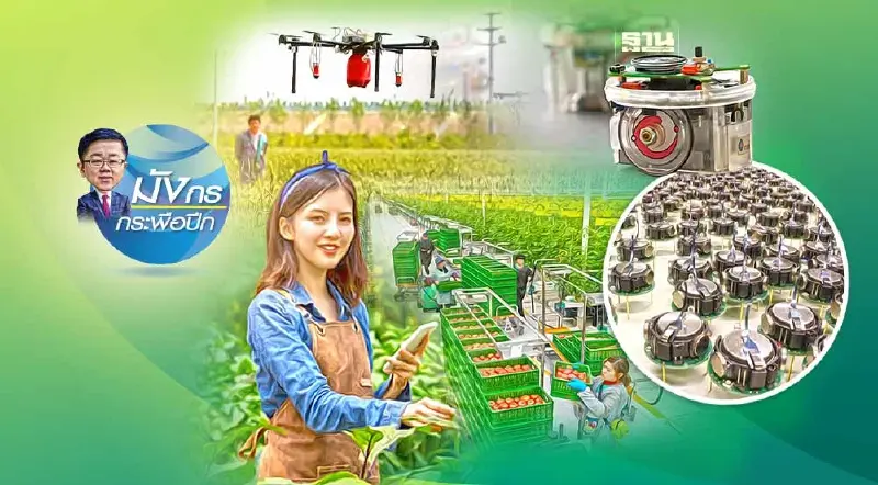 เมื่อจีนเดินหน้ายกระดับความมั่นคงด้านอาหาร (10)