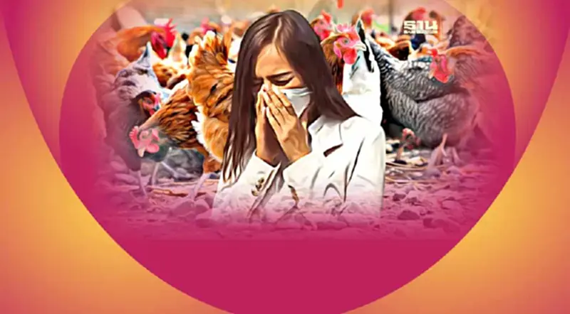นักไวรัสวิทยา เตือนไทยเฝ้าระวัง "ไข้หวัดนก H5N1" นักไวรัสวิทยา เตือนไทยเฝ้าระวัง "ไข้หวัดนก H5N1"