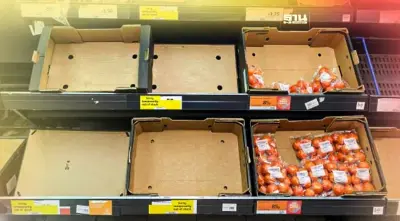 อังกฤษผักผลไม้ขาดตลาด สภาพอากาศเปลี่ยนแปลงเขย่าห่วงโซ่อาหาร