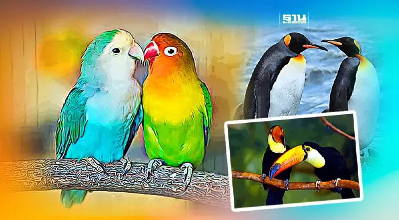 ต้อนรับ "วันวาเลนไทน์" ส่อง 10 สัตว์โลกคู่รักอมตะรักเดียวใจเดียว