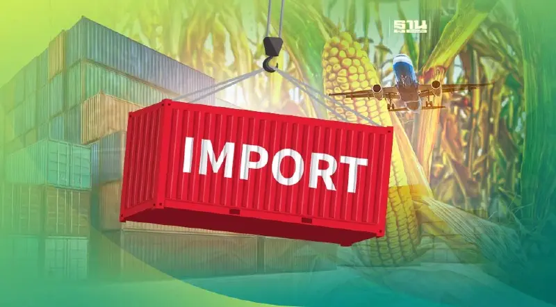 อาหารสัตว์กระทุ้งรัฐ นำเข้าเสรีข้าวโพด 3 ล้านตัน