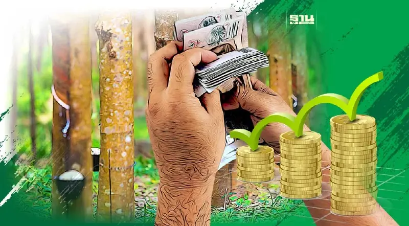 ประกันรายได้ยางพารา เฟส 4 ได้ฤกษ์ชงครม.เคาะ พรุ่งนี้