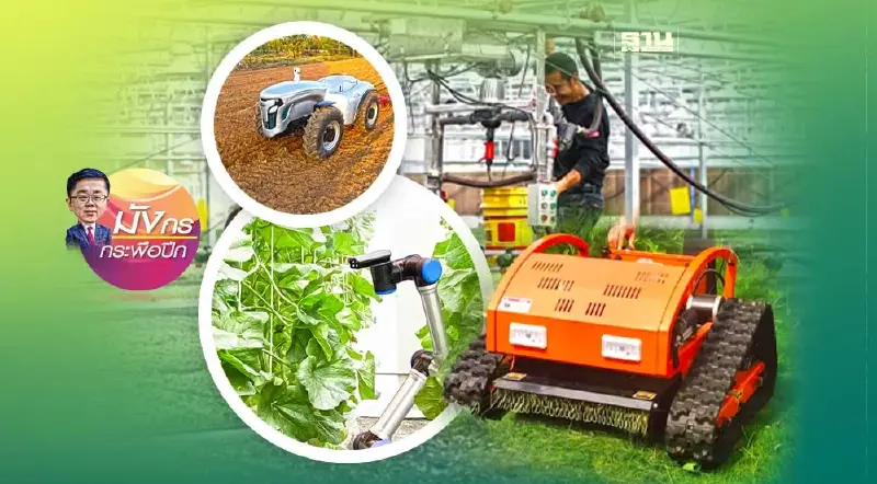 เมื่อจีนเดินหน้ายกระดับความมั่นคงด้านอาหาร (9)