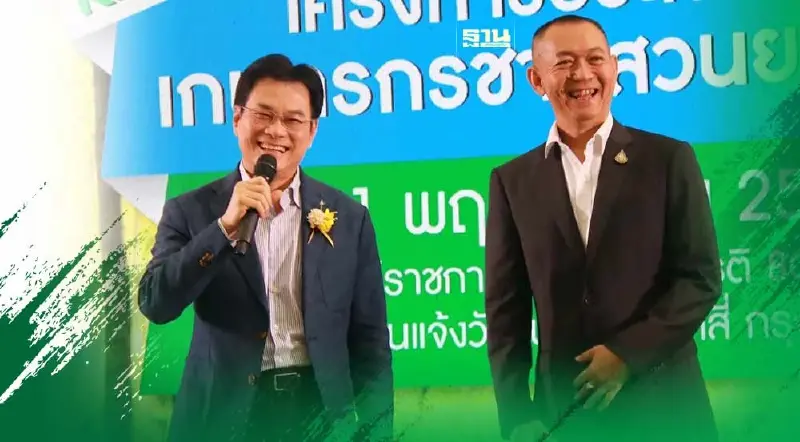 ผ่านแล้ว!  ครม. ไฟเขียว “ ประกันรายได้ยางพารา" ปี  4