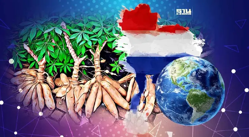 "ไทย"ประกาศพร้อมเป็นคลังมันสำปะหลังป้อนโลก